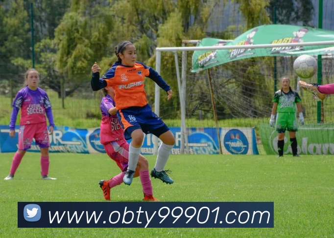 ob欧宝官网平台生态图